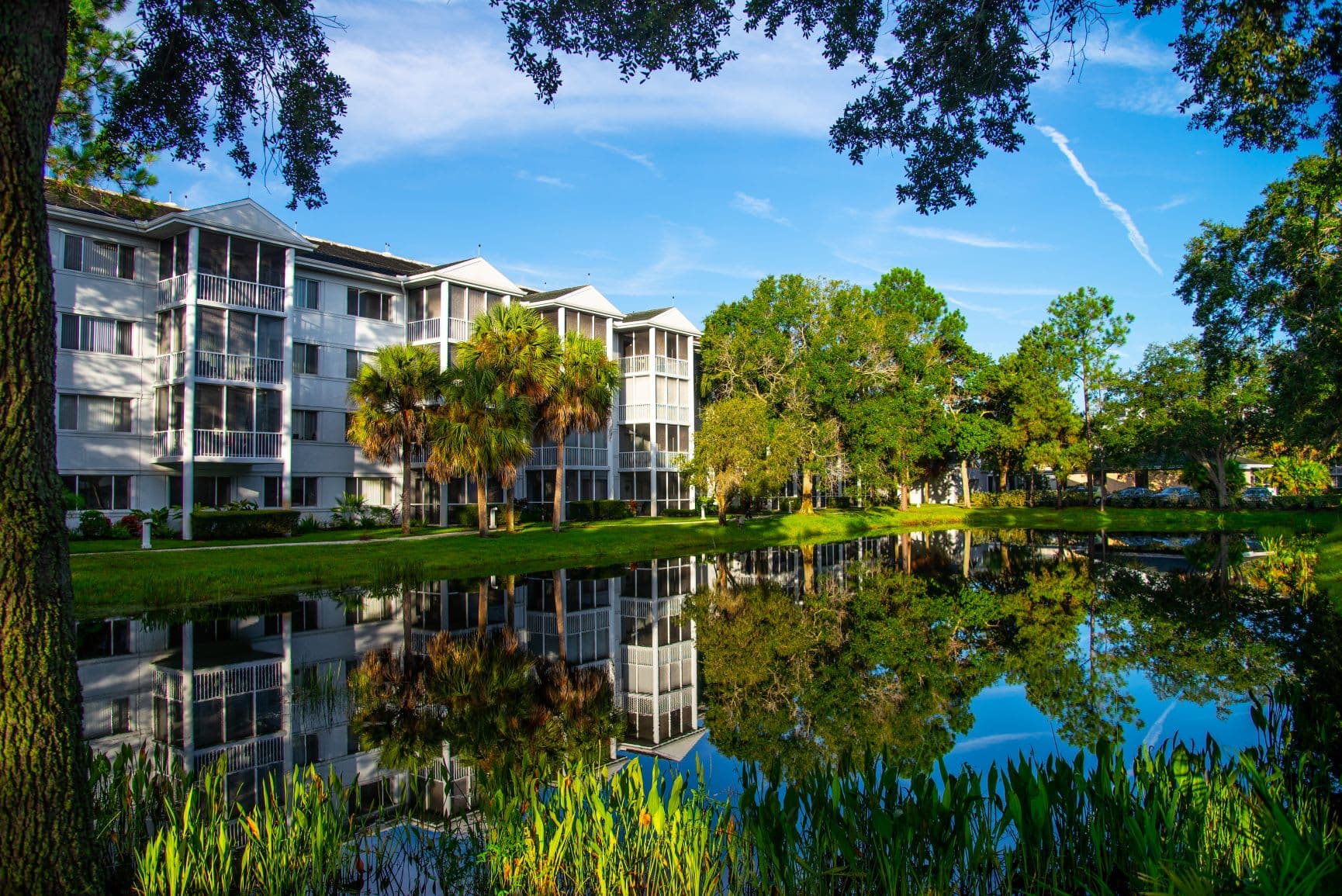 Aviva Senior Living – photo 2