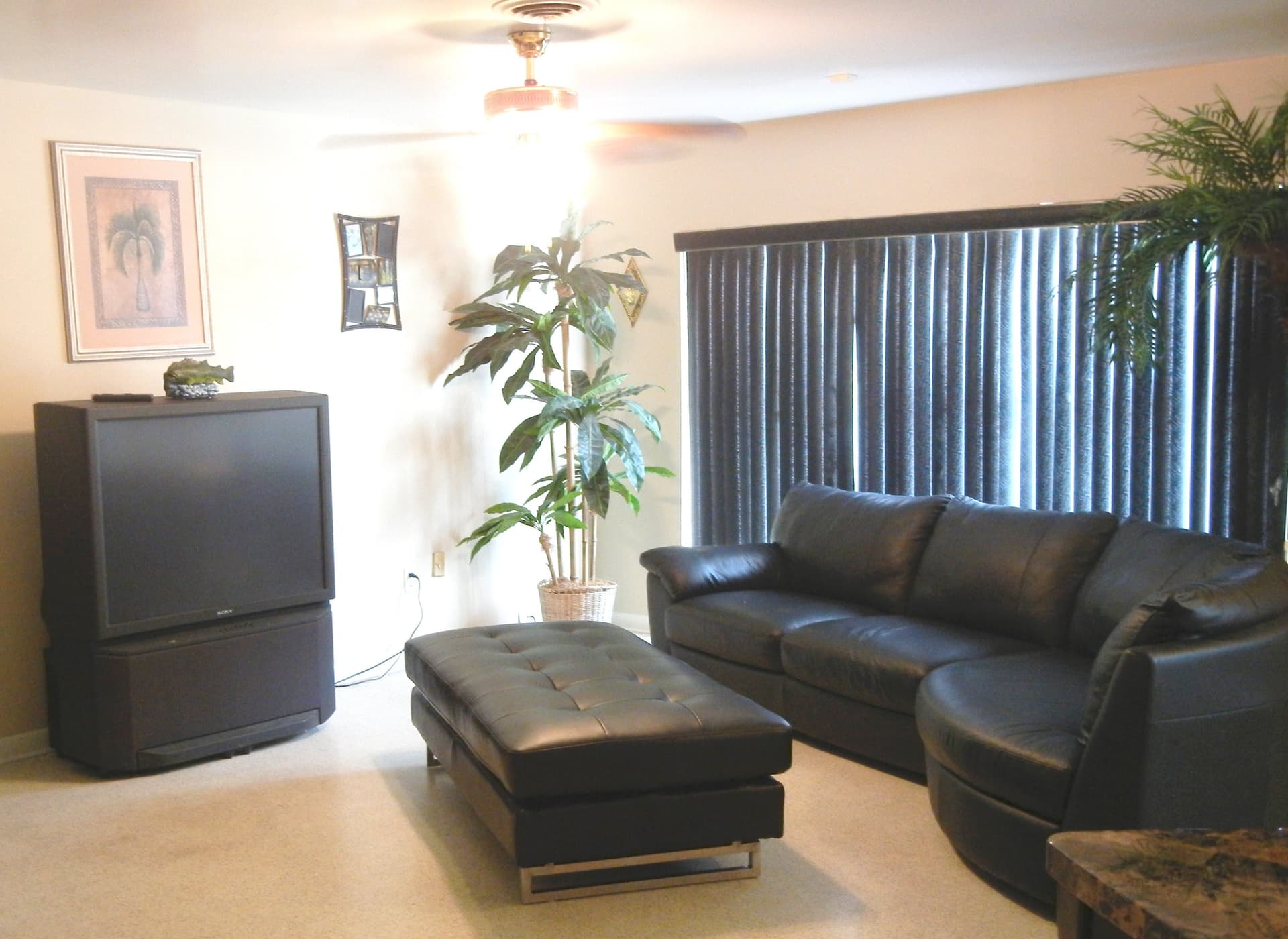 Candy's House – photo 2