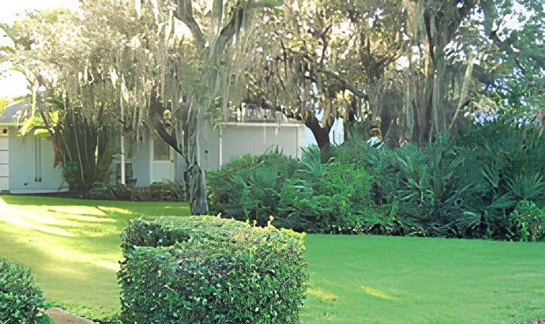 Dixie Oak Manor – photo 4