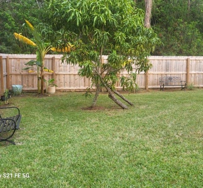 Doricare LLC – photo 3