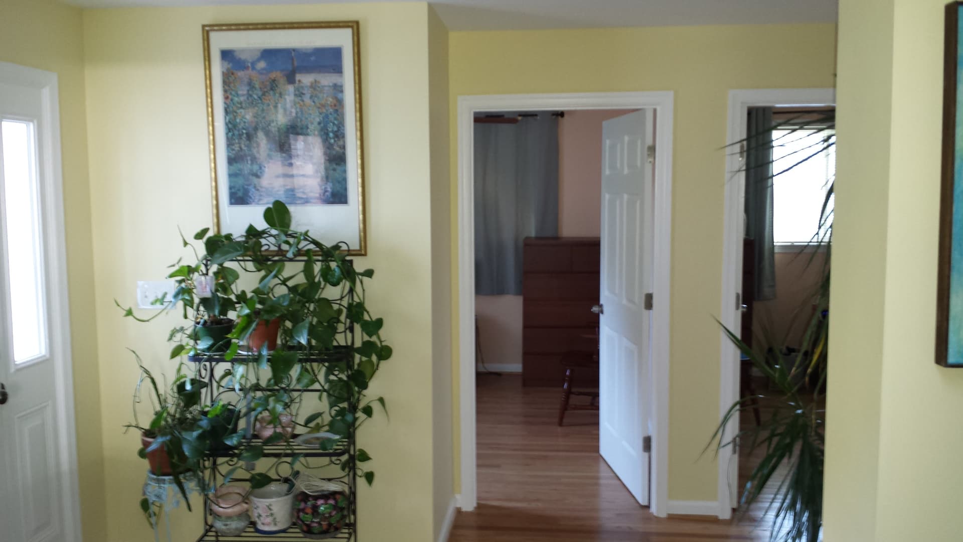 Dulce Hogar – photo 3