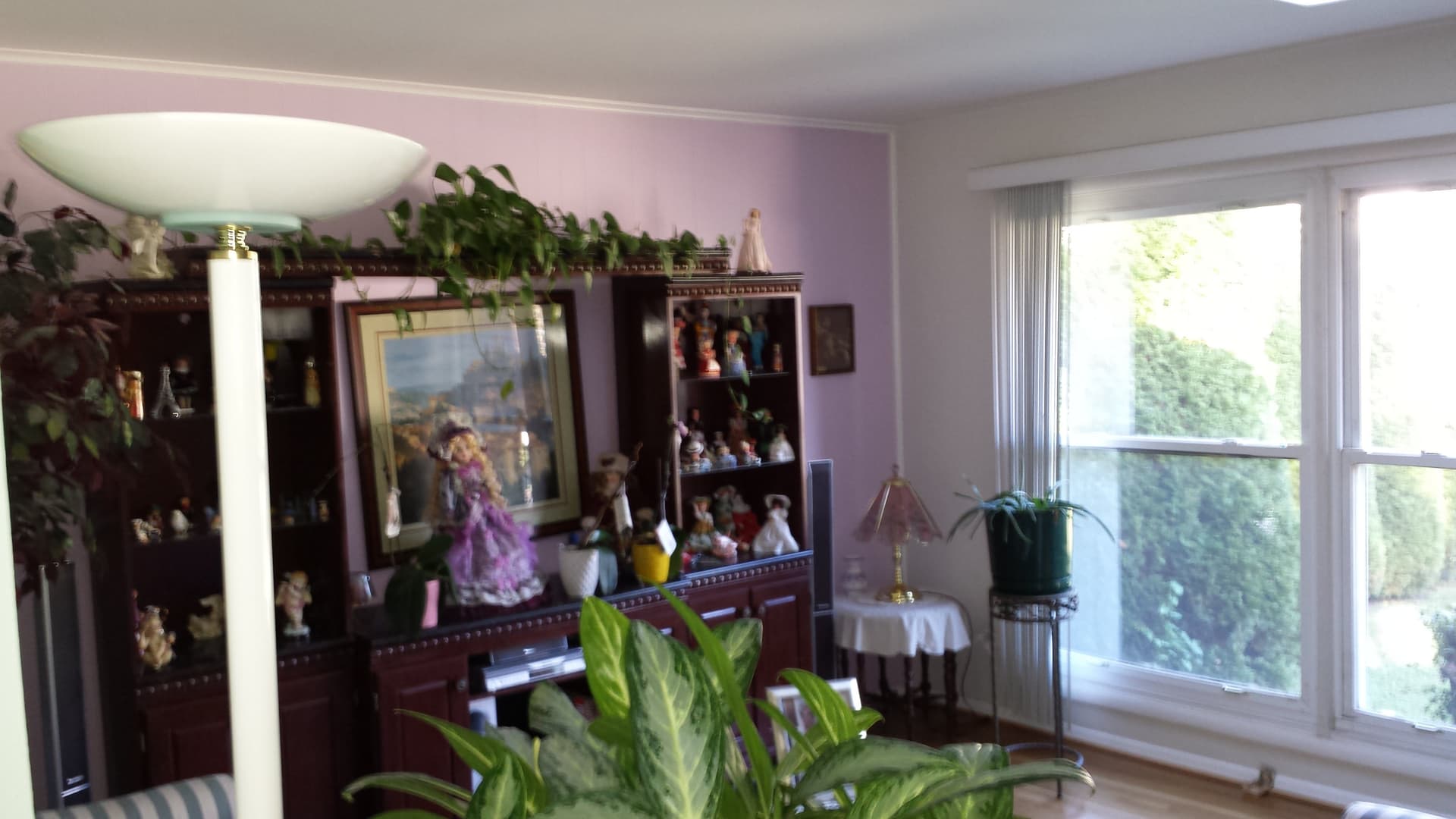 Dulce Hogar – photo 4