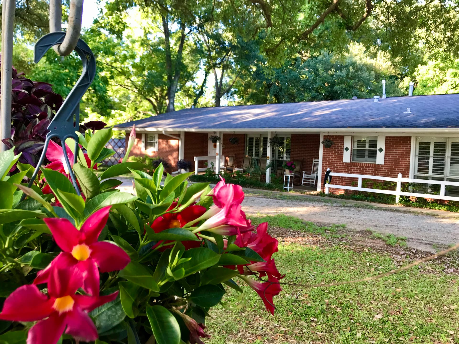 Fl Memory Lane – photo 4