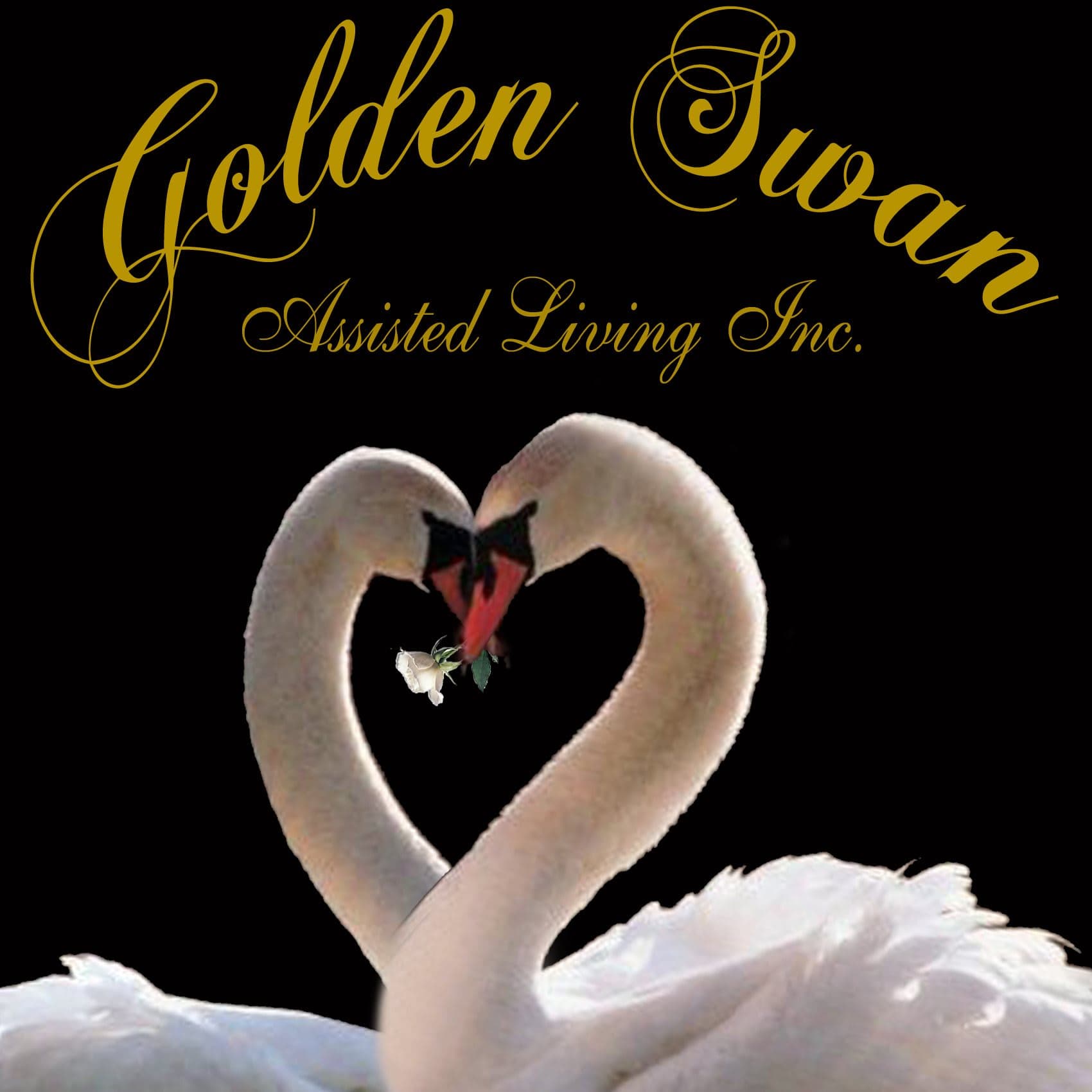 Golden Swan in Smyrna, TN - Gallery 1