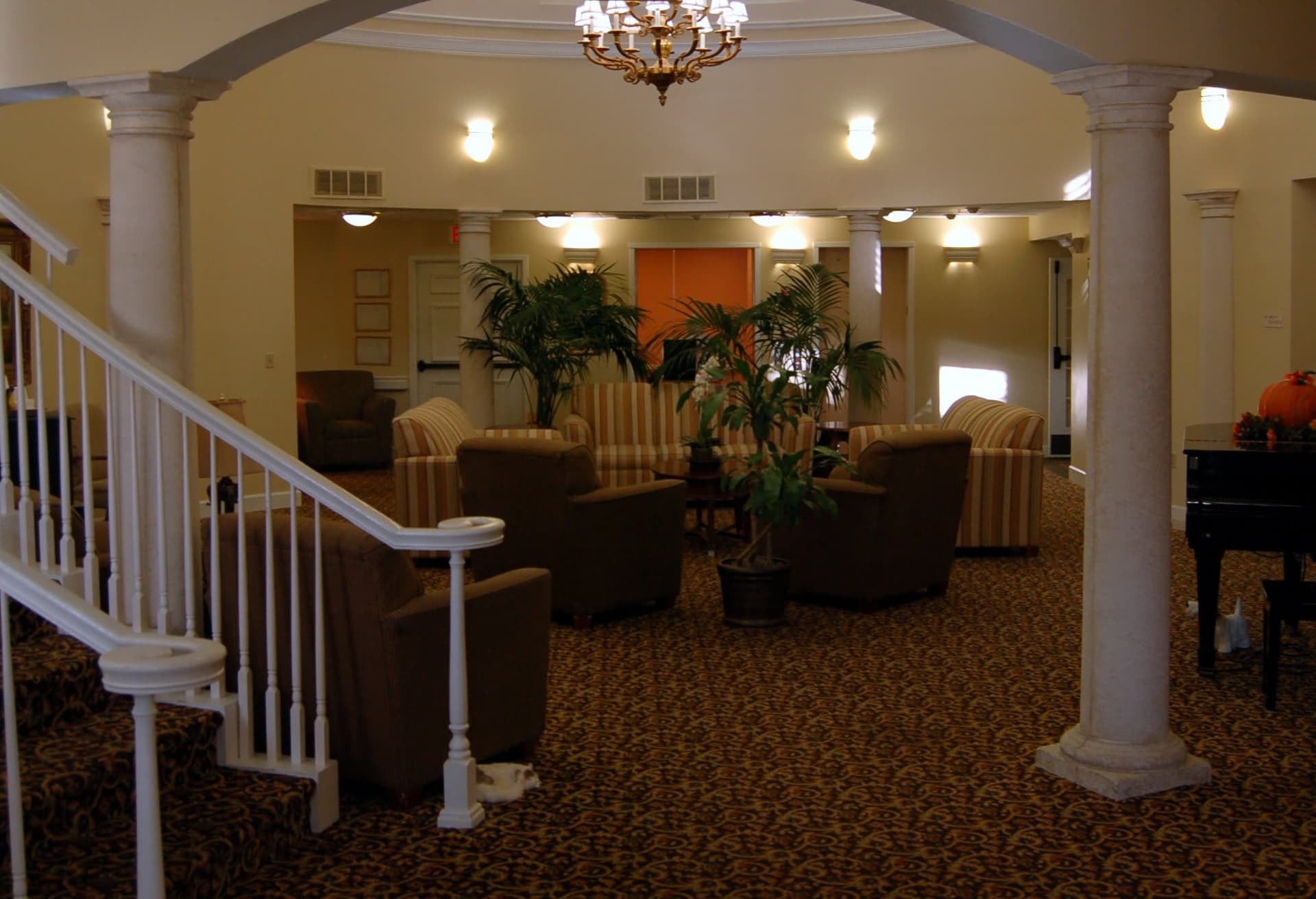 Hibiscus Court – photo 4