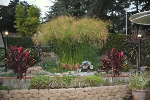 North Lake Villa in Merced, CA - Gallery 1