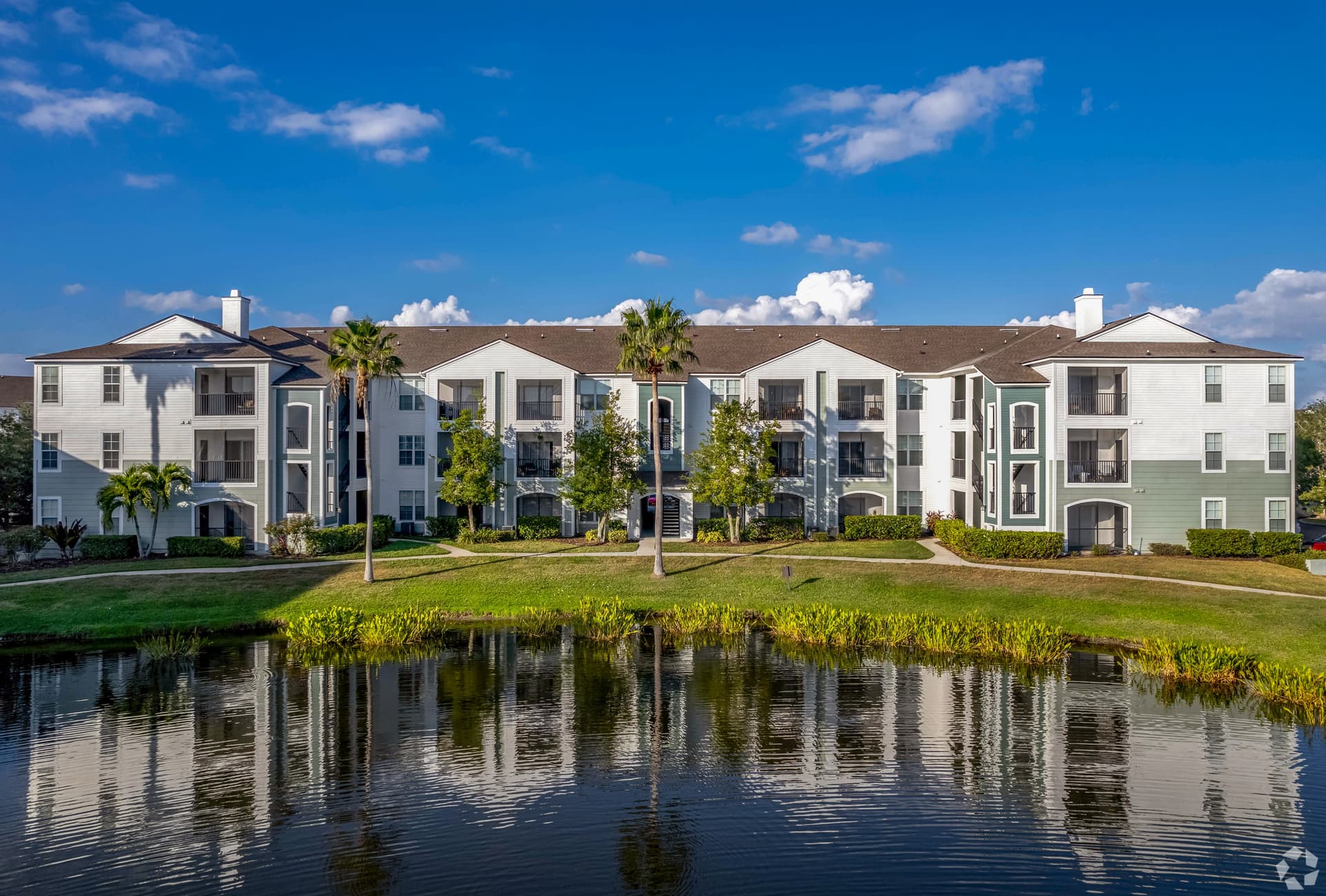 Upside Tampa – photo 2
