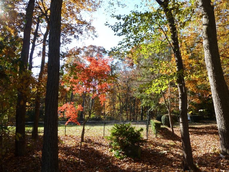 Missionary Sisters Of St. Benedict in Huntington, NY - Main View