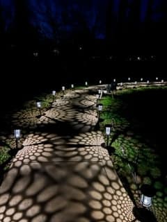 A Garden of Paradise in Citrus Heights, CA - Main View
