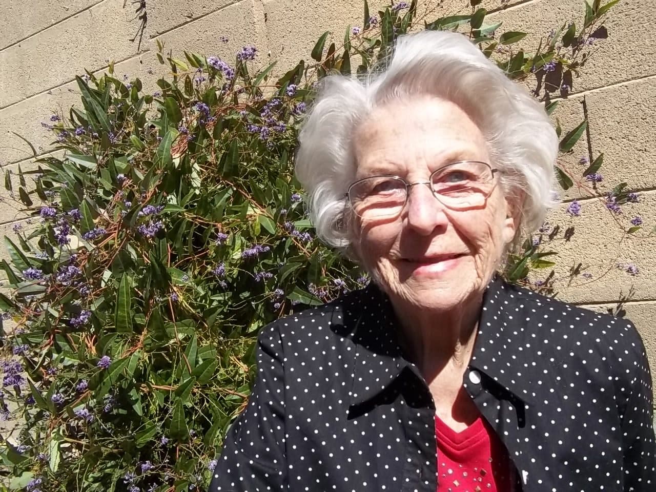 A VIP Assisted Living Care Home, LLC in Anthem, AZ