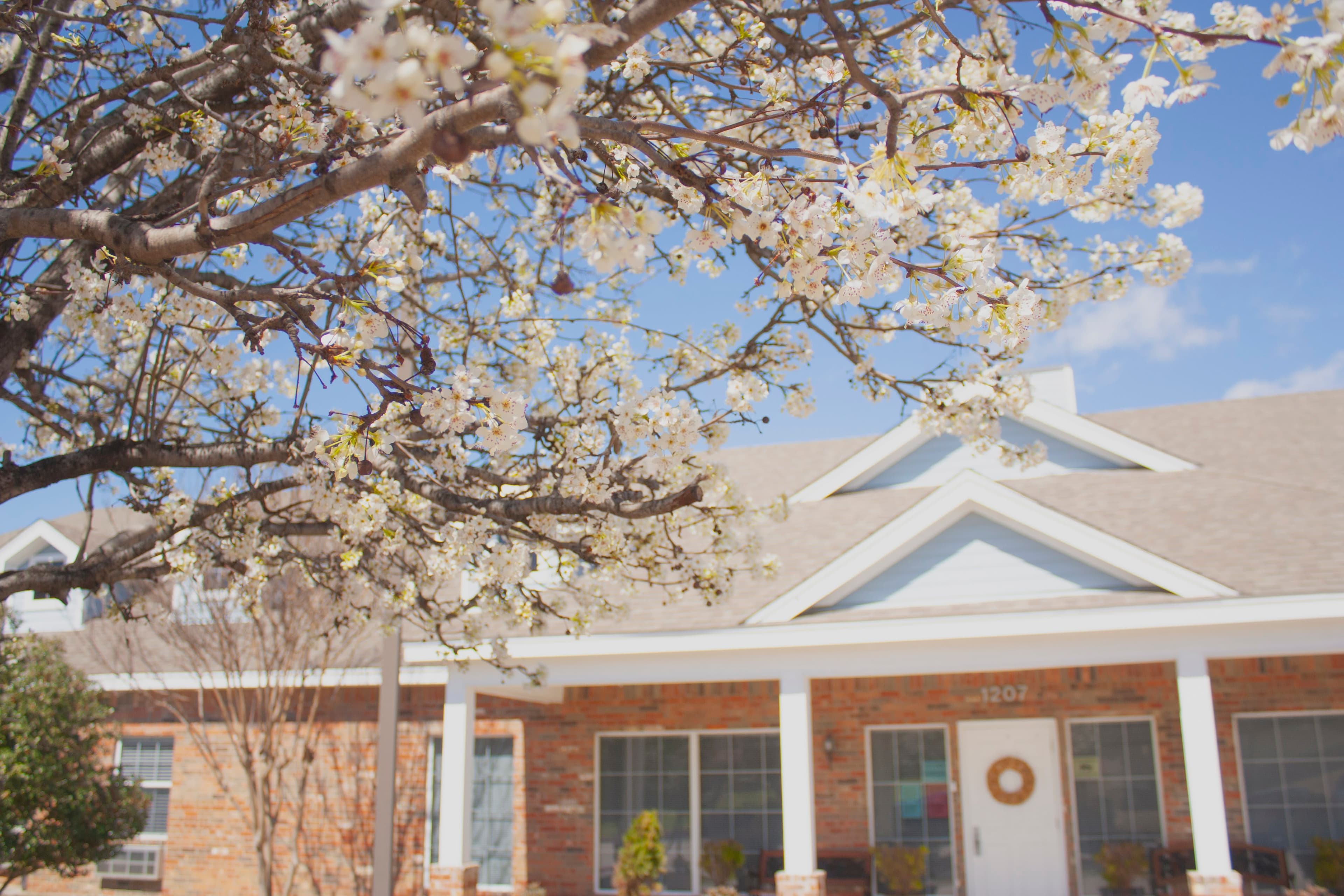 Abba Care Assisted Living in Garland, TX