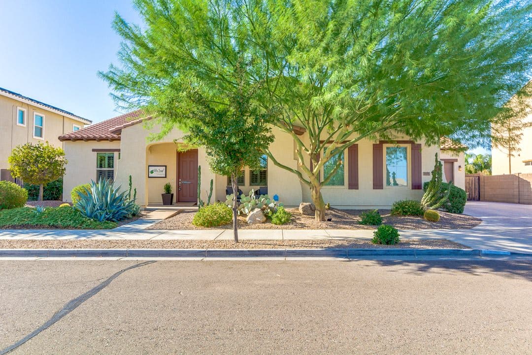 Alder Leaf at Hasting Farms in Queen Creek, AZ