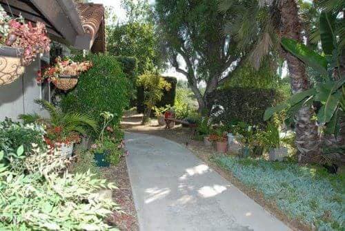 Angel's Touch in Vista, CA - Main View