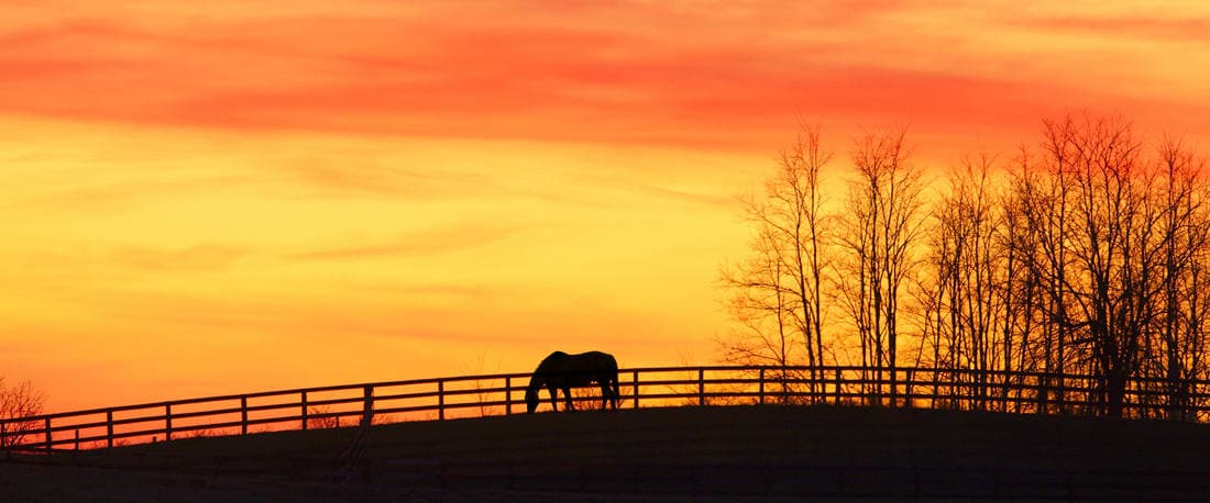 Aspen Alcove of Bardstown in Bardstown, KY