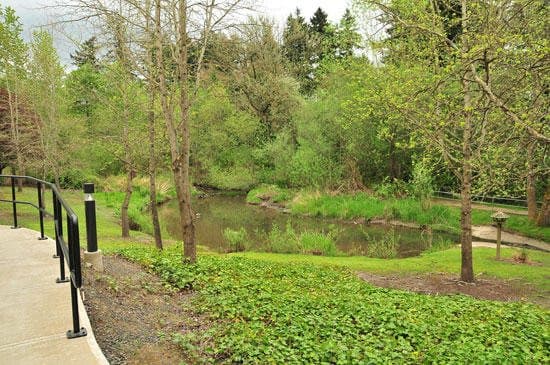 Avamere at Park Place in Tigard, OR - Main View