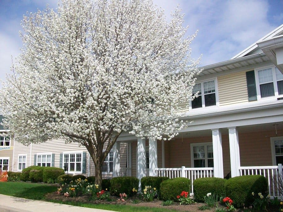 Brentland Woods, Episcopal SeniorLife Communities in Henrietta, NY
