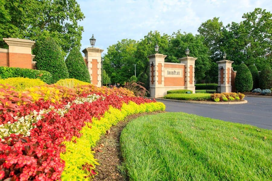 AdamsPlace in Murfreesboro, TN - Main View