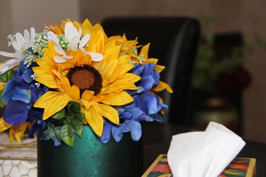 Almond Tree Senior Care - Highlands Ranch in Highlands Ranch, CO