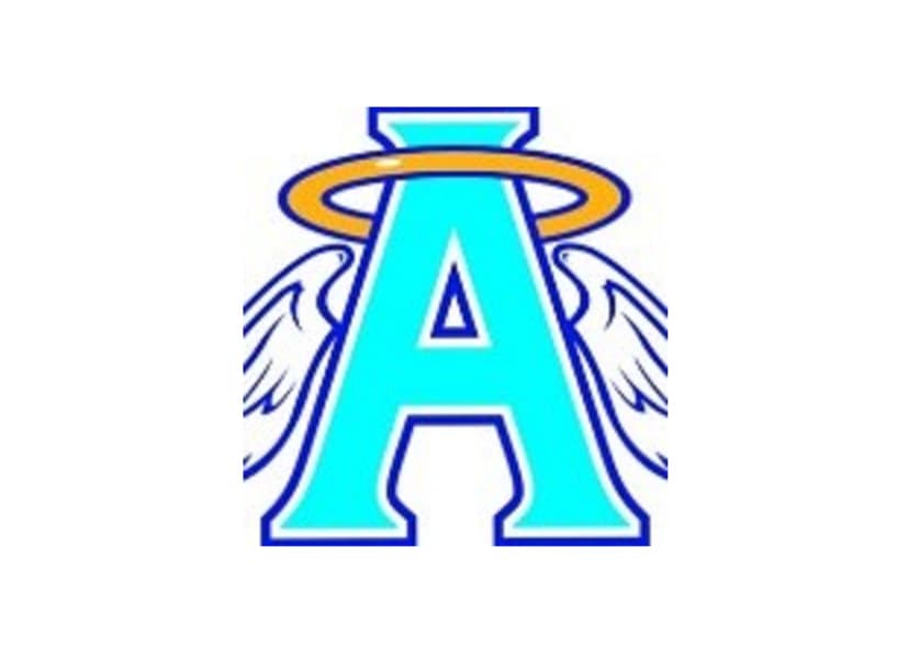 Angel Care Home Companion Services, Inc Smithtown, NY in Smithtown, NY