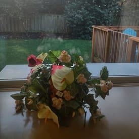 Avian Adult Family Home B in Lakewood, WA