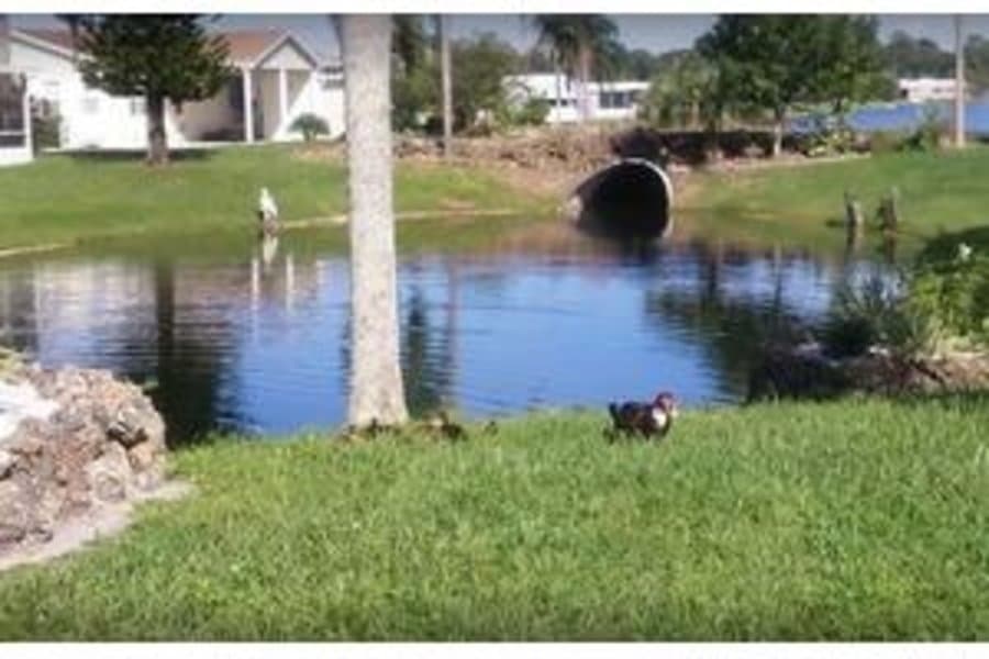 Buccaneer Estates in Fort Myers, FL - Main View