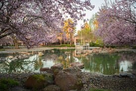 College Oak Nursing & Rehabilitation Center in Sacramento, CA - Main View