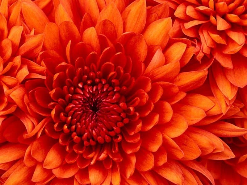 Empowerment Living Services in Neenah, WI