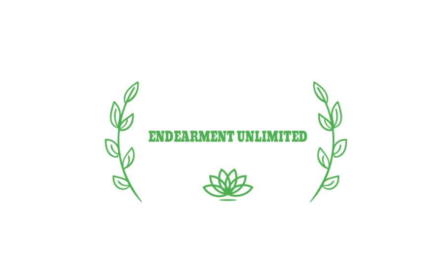 Endearment Unlimited Madison, WI in Madison, WI - Main View