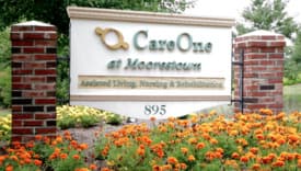 Evergreens in Moorestown, NJ - Main View