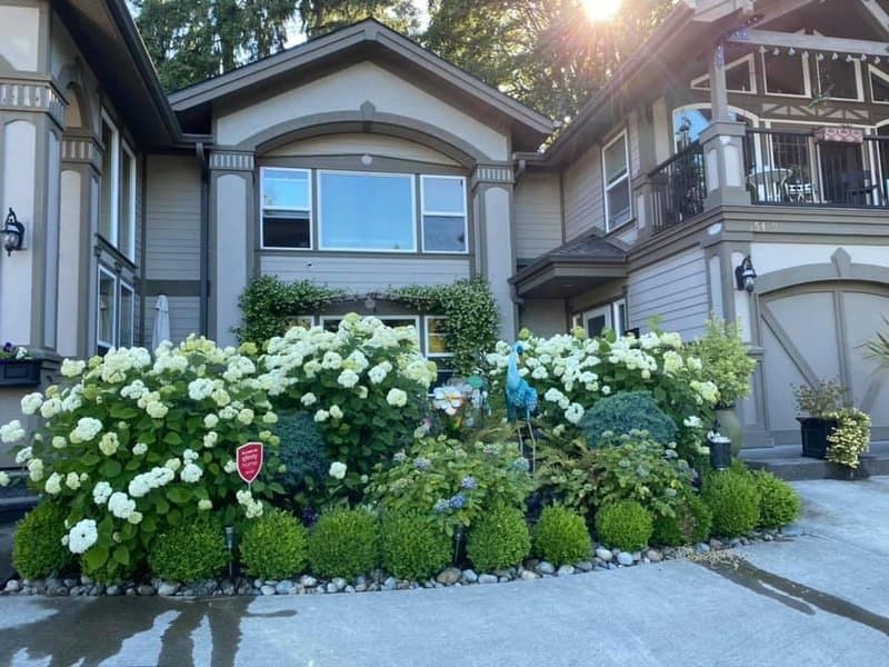 Felicity Senior Care in Bellevue, WA - Main View