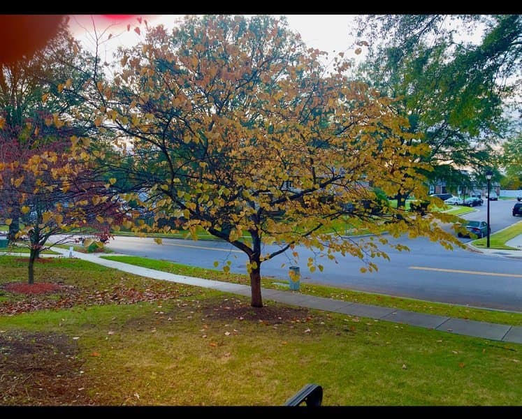 First Option Assisted Living in Bowie, MD - Main View