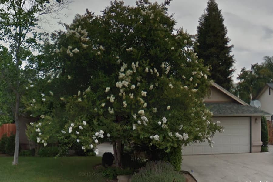 Green Gables Care Home 4 in Clovis, CA - Main View
