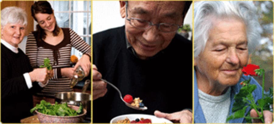 Home Care Assistance - Greater South Houston Houston, TX in Houston, TX - Main View