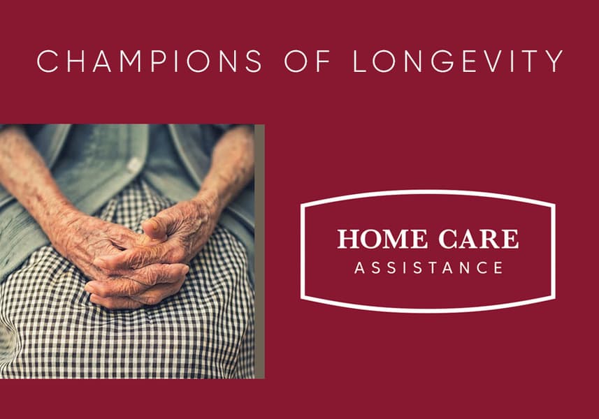 Home Care Assistance of Chicago Kenilworth, IL - Senior living in Kenilworth, Illinois