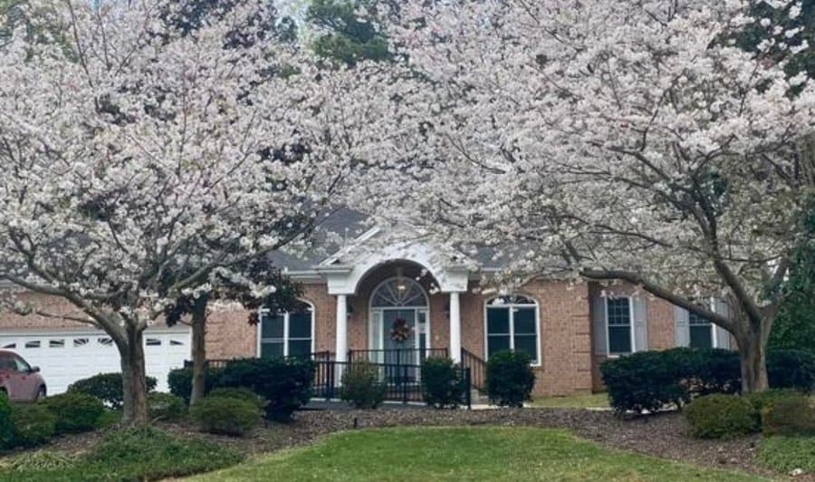 LiveWell @ Wessex in Cary, NC - Main View