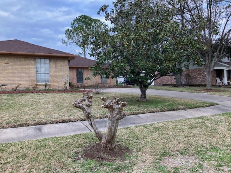 Margaret's Home Care Services & Assisted Living Facility in Houston, TX - Main View