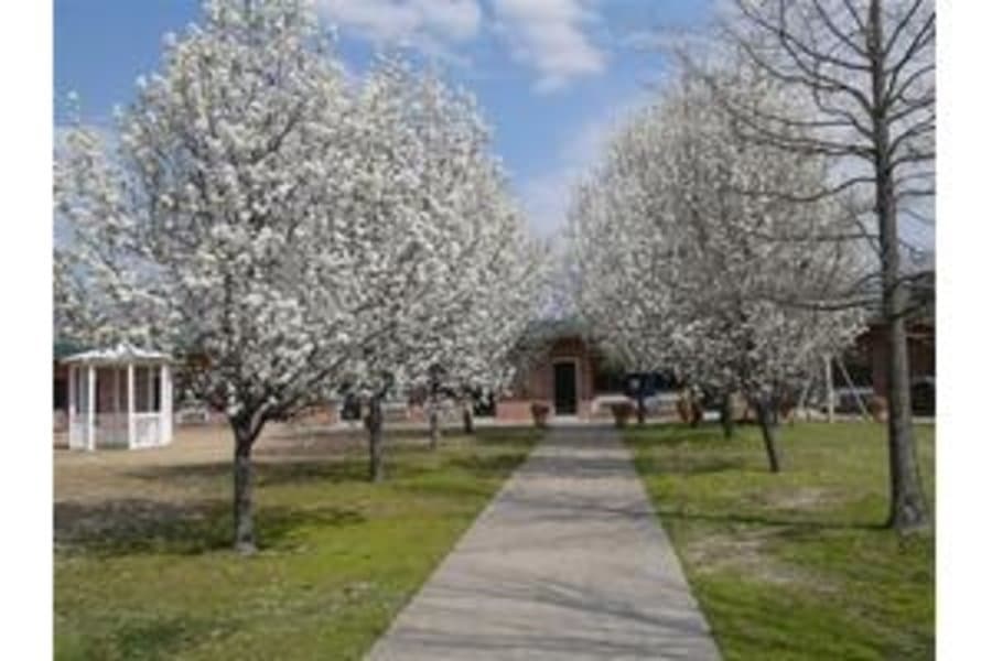 Oak Ridge Nursing Home in El Dorado, AR