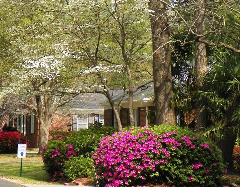 Presbyterian Home of Sc - Summerville in Summerville, SC
