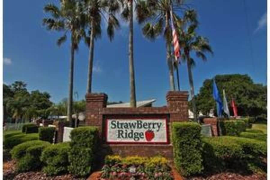 StrawBerry Ridge in Valrico, FL