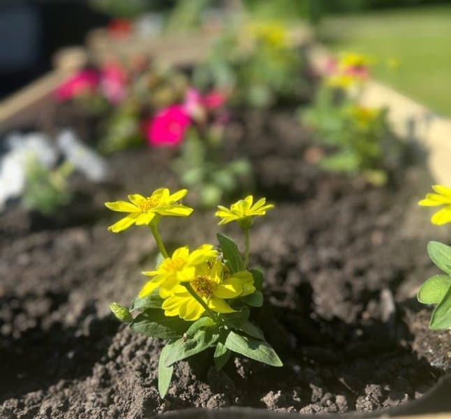 Sunset Woods Senior Living in New Berlin, WI