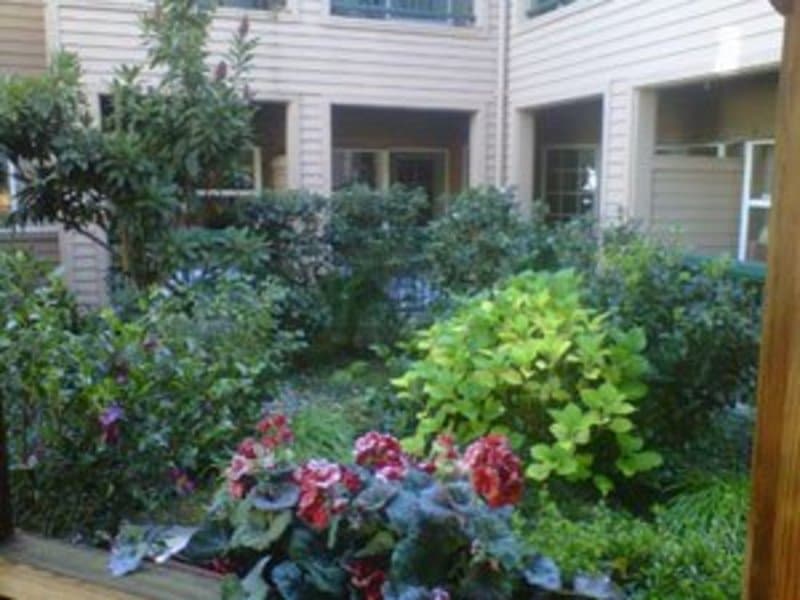 Tiffany Court of Walnut Creek in Walnut Creek, CA - Main View