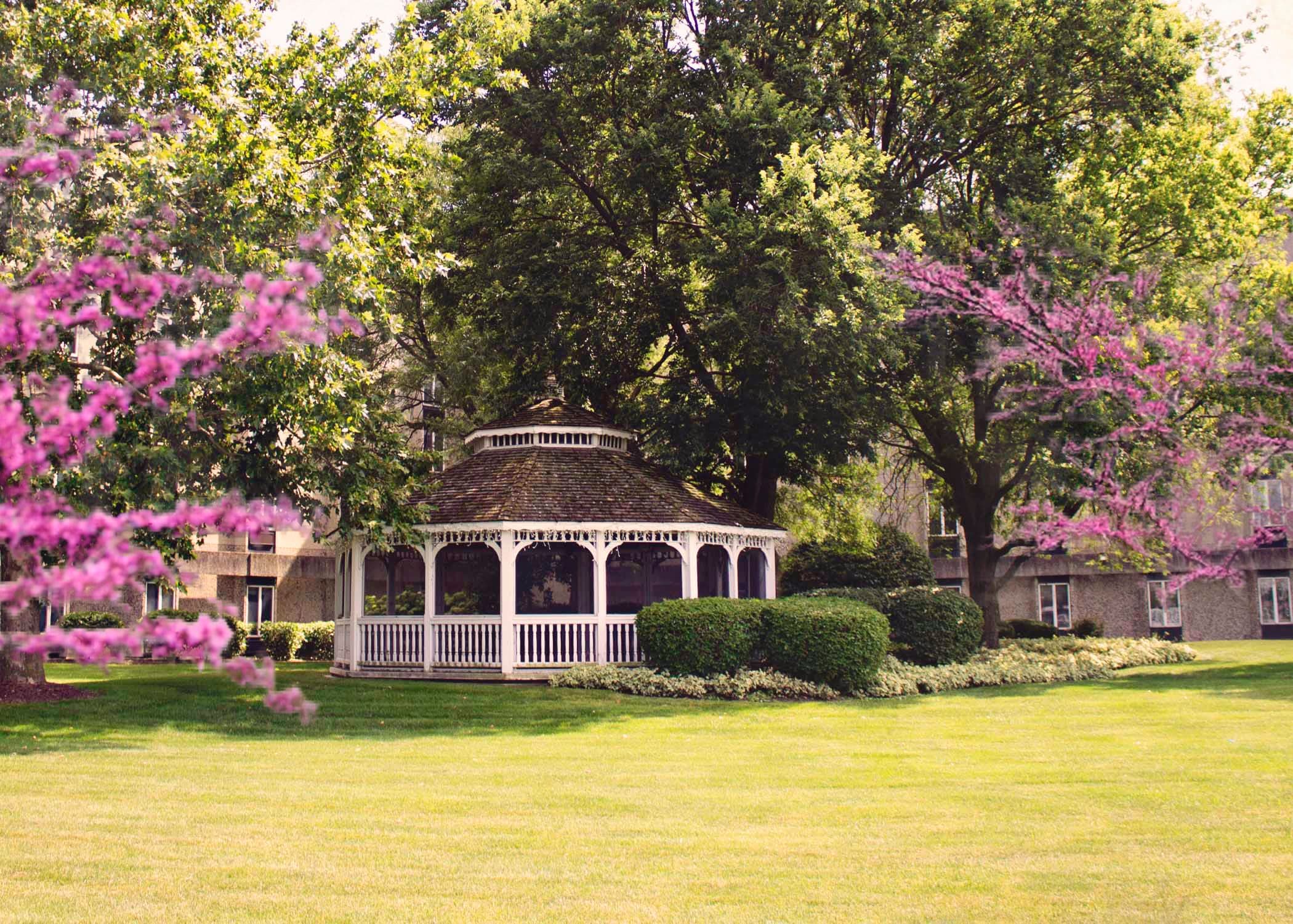 Celebrate Senior Living of South Holland in South Holland, IL - Main View