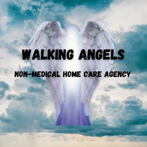 Walking Angels Non Medical Home Care Agency LLC - Belleville, IL Belleville, IL in Belleville, IL - Main View