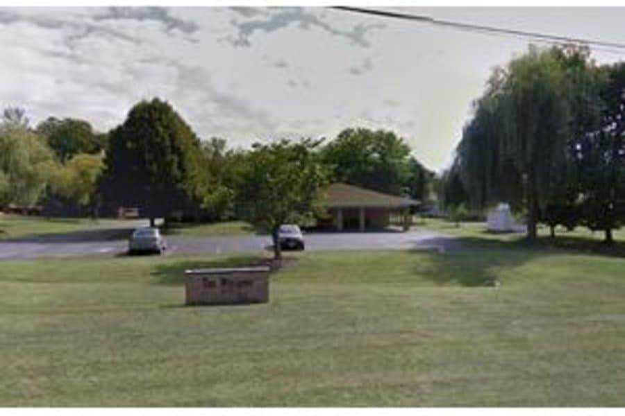 Willows in Medina, NY