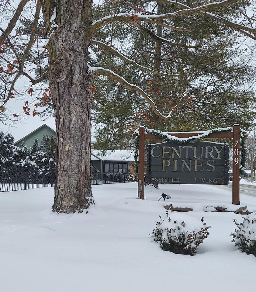 Century Pines in Ozark, MO
