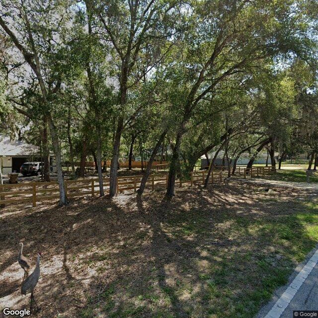 Blue Haven 101 & 102 in Leesburg, FL