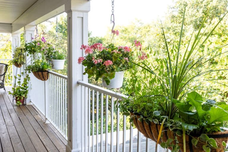 Commonwealth Senior Living At Charlottesville in Charlottesville, VA