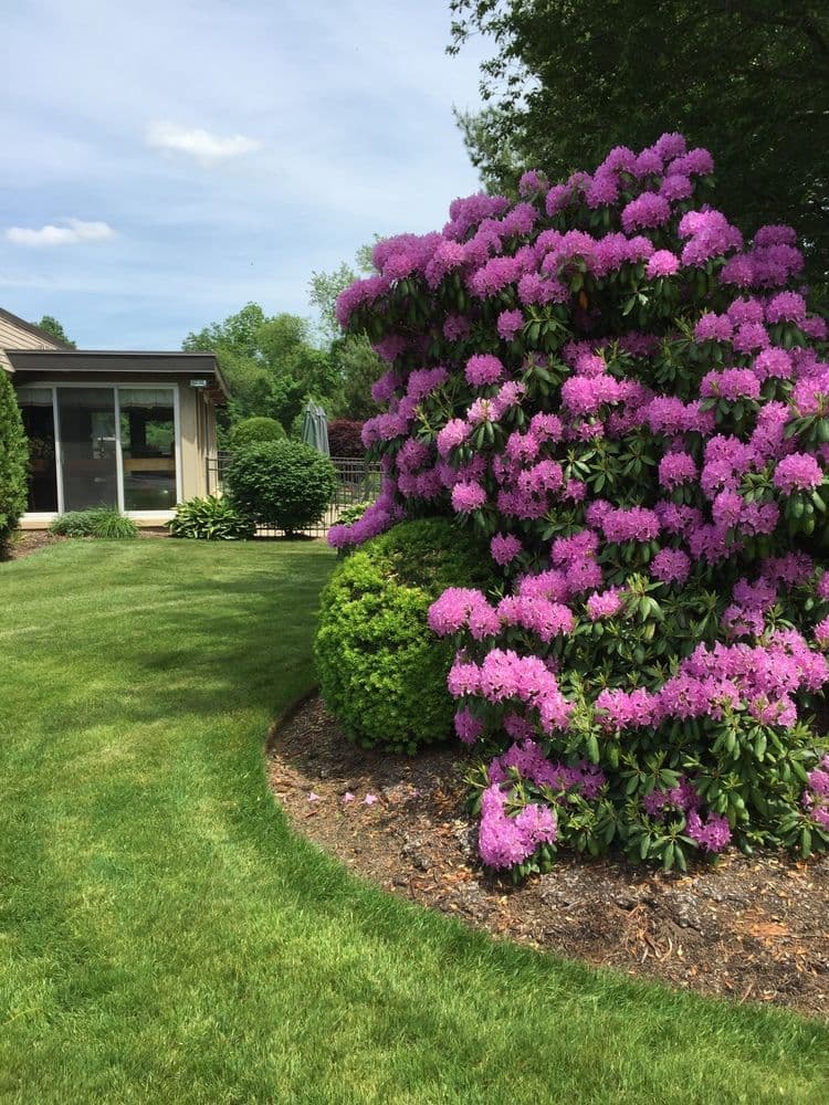 Cra-Mar Meadows in Cranston, RI - Main View