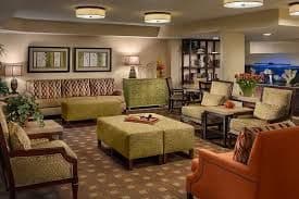 Desert Palm at the Park in Phoenix, AZ