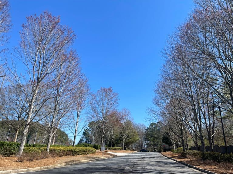 Grove Park in Marietta, GA - Main View